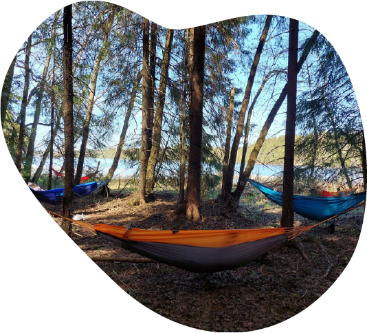 Hammocks by the Finnish forest